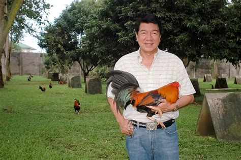 Lists of Gamefarms and Gamefowl Breeders in Bacolod and .